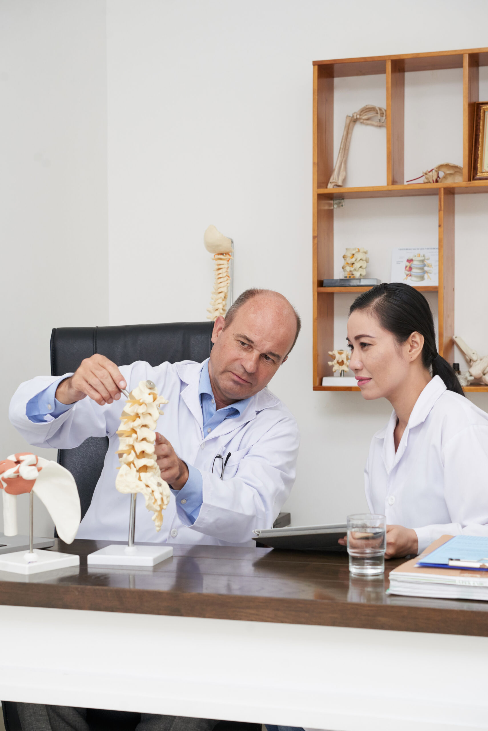 Team of physiotherapists discussing plastic model of spine